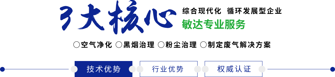 嗯啊啊嗯操我bb敏达环保科技（嘉兴）有限公司